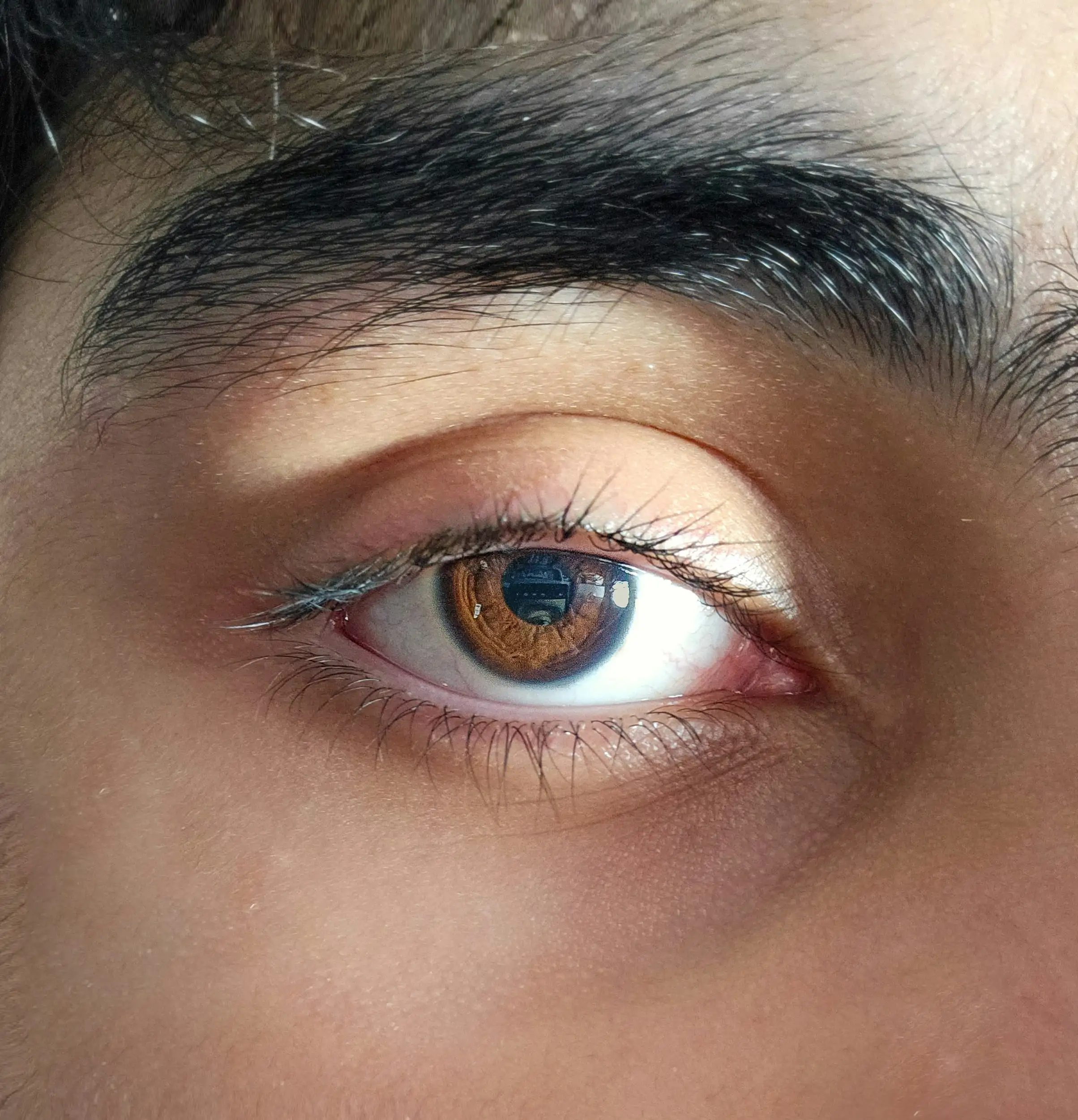 Nahaufnahme eines braunen Auges mit geschwungenen Wimpern
